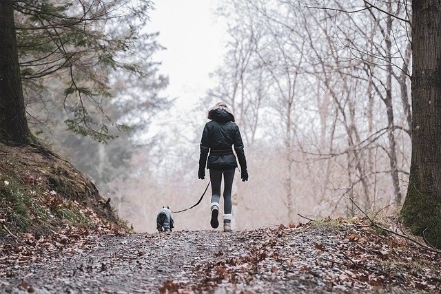 dog and owner walking together on a nature trail morning sunlight outdoor exercise