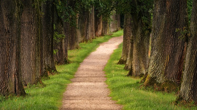 family with children and dog hiking outdoor trail nature exercise healthy habits